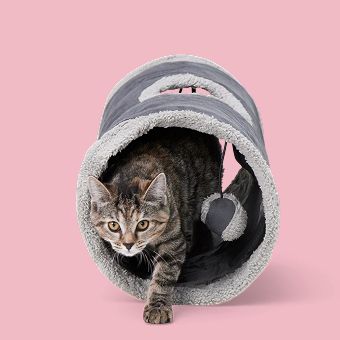Cat inside a Whisker City Cozy Pop-Open Play Tunnel