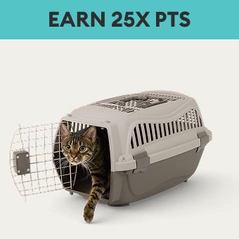 Earn 25X points callout & a cat stepping out of a plastic carrier
