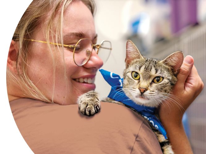 Woman holding a cat who's wearing a blue bandana