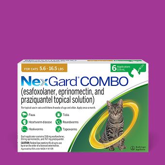 NexGard COMBO Topical Solution for Cats