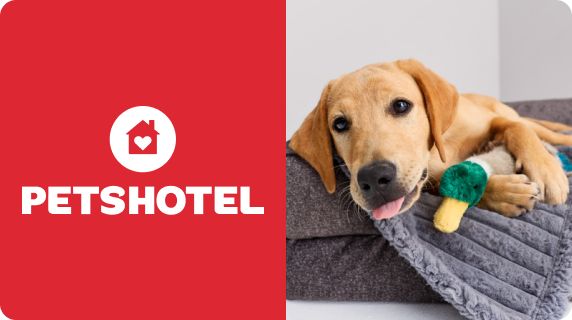 Pets Hotel
