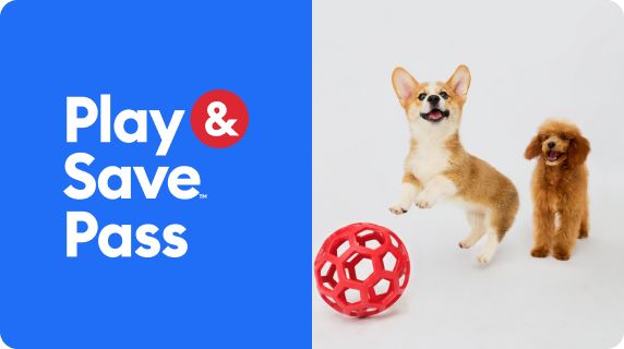 Doggy daycamp play & save pass