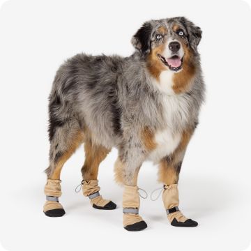 Boots, Shoes & Socks