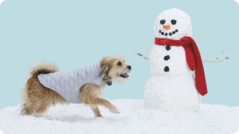 dog in sweater next to snowman