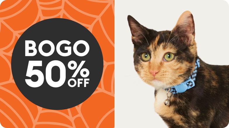 BOGO 50% OFF shown with calico cat wearing blue collar