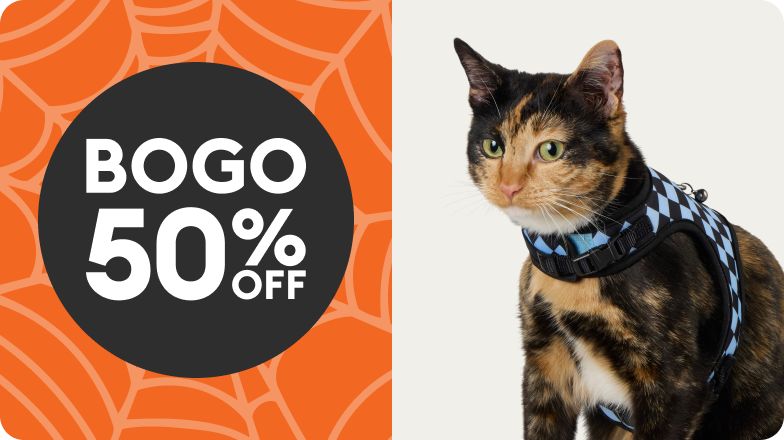 BOGO 50% OFF shown with calico cat wearing blue harness