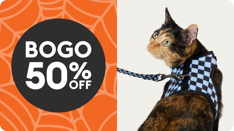 BOGO 50% OFF shown with calico cat wearing blue leash