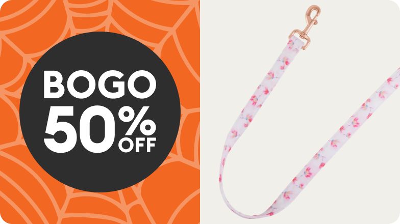 BOGO 50% OFF shown on orange spiderweb with pink leash