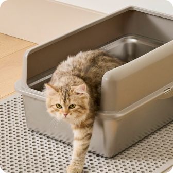 Cat stepping out of litter box
