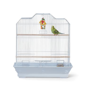 All Living Things Easy-Clean Pet Bird Cage