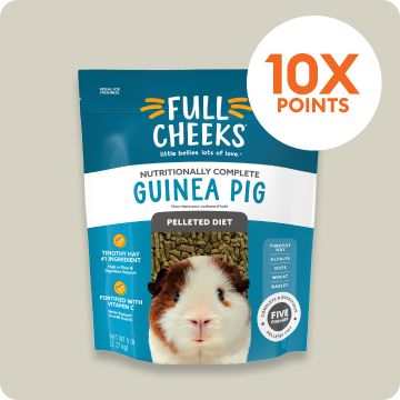 Full Cheeks guinea pig food & 10X points callout