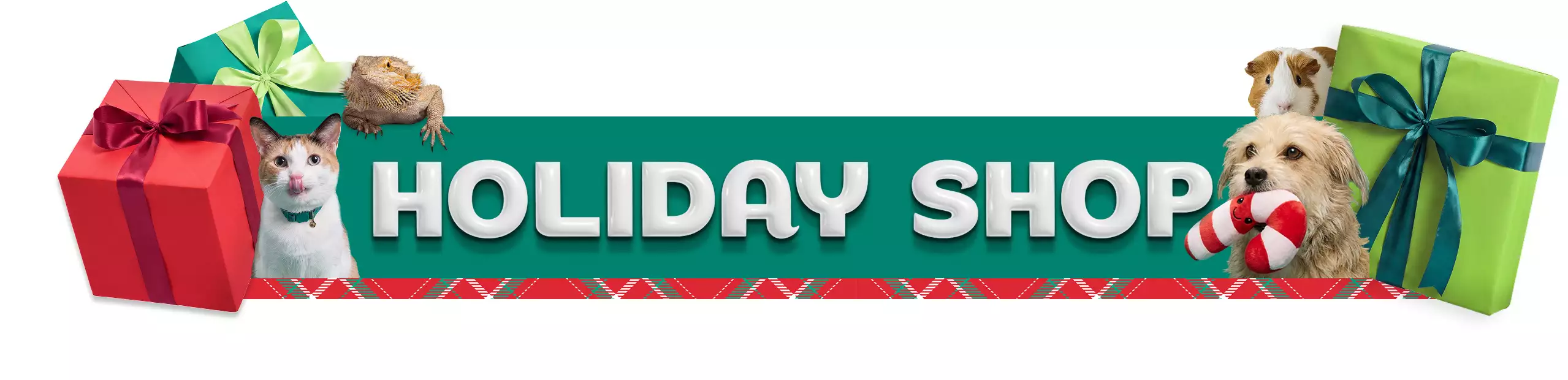 Holiday Shop message with a cat, bearded dragon, dog and guinea pig next to wrapped presents