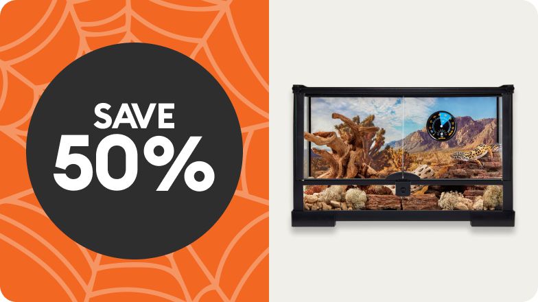 Save 50% callout and reptile terrarium