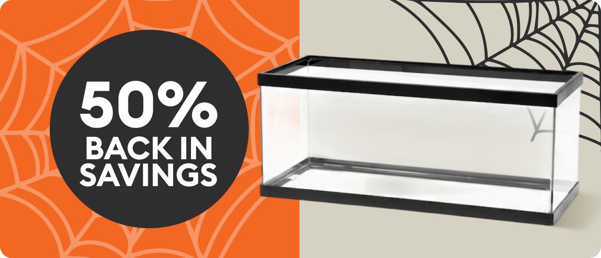 A "50% back in savings" badge against an orange spider web background, an image of an empty aquarium, and black spider web