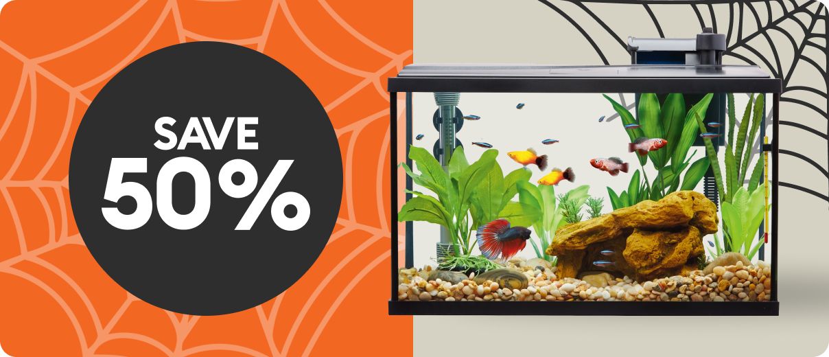 A "Save 50%" badge against an orange spider web background and fish tank full of fish