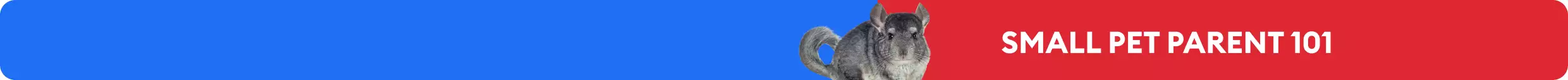 White "Small Pet Parent 101" text against a red background and a picture of a chinchilla