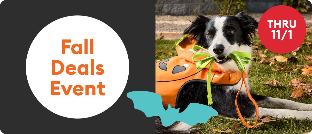 Fall Deals Event thru 11/1 callouts, a dog lying outside wearing a pumpkin costume & holding a leash in their mouth