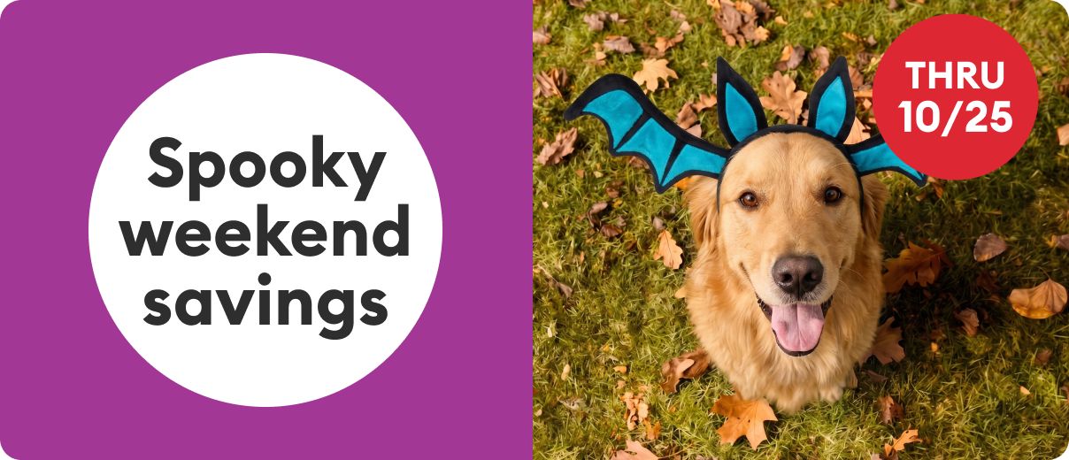 Spooky weekend savings thru 10/25 callouts and a cat wearing a bat costume