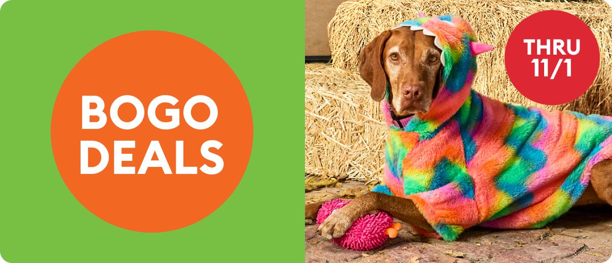 BOGO deals thru 11/1 callouts & a dog lying next to hay bales, wearing a colorful costume