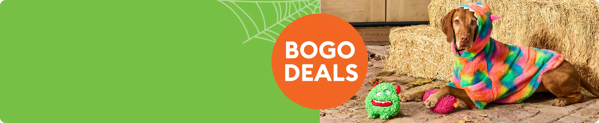 Dog lying next to hay bales, wearing a colorful costume and a BOGO deals callout