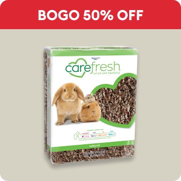 "BOGO 50% OFF with Carefresh bedding "