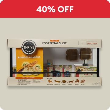 40% OFF shown with Thrive terrarium