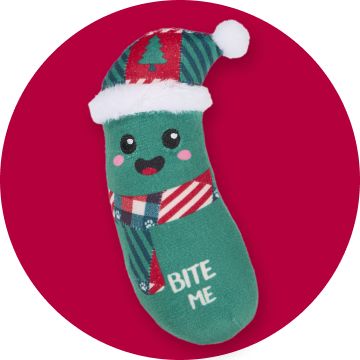Catnip toy