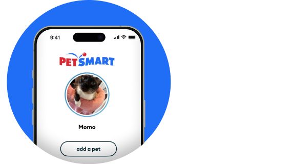Enlarged summary of treat reward status