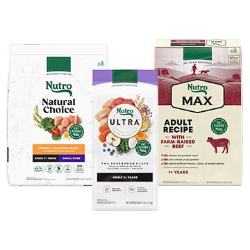 Nutro dry dog food