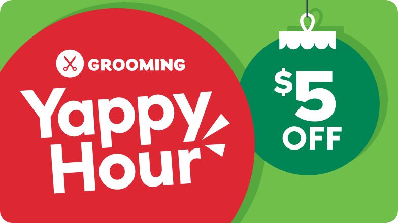 Dog Grooming Supplies Dog Shampoo Clippers More PetSmart