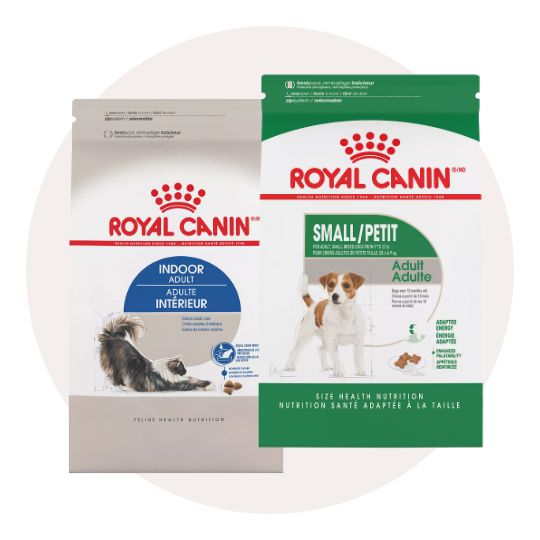 Royal canin dog and cat food