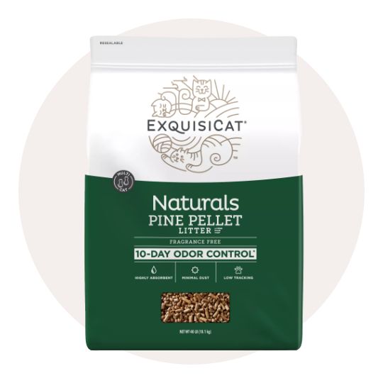 Exquisicat cat litter