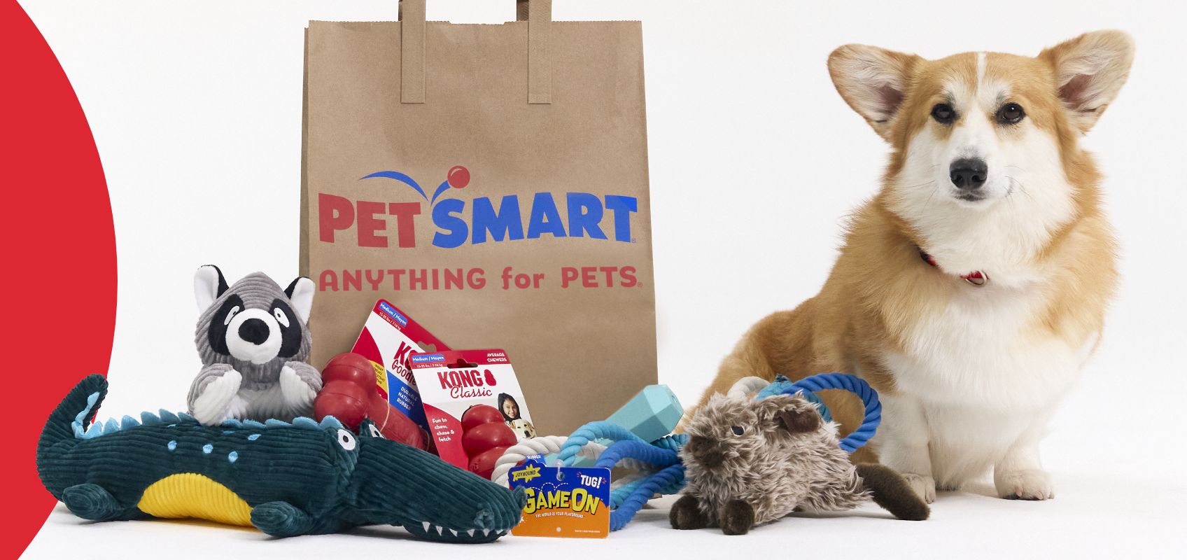 dog with a petsmart bag and toys lying around