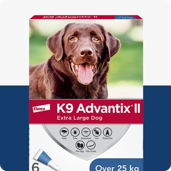 K9 Advantix dog flea and tick treatment