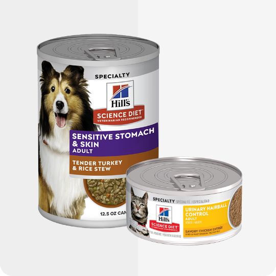 Hill's Science Diet dog & cat food