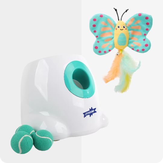 dog and cat toys