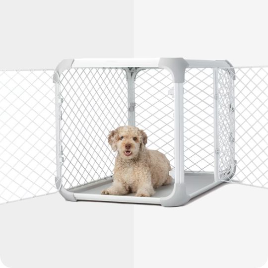 white wire crate