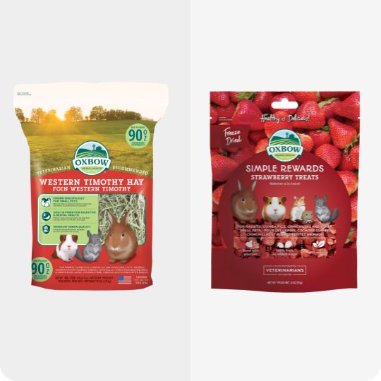 oxbow hay and treats