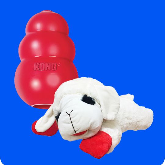Two Kong dog toys