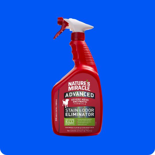 Nature's Miracle stain & odor remover