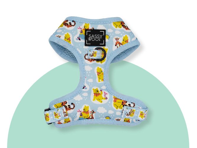 Dog harness