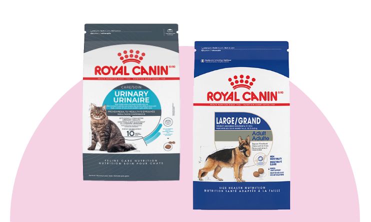 Royal canin dog and cat food