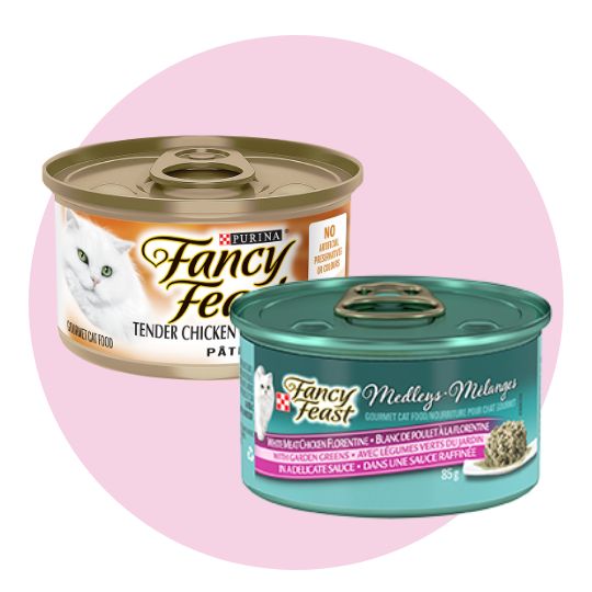 Fancy feast and friskies cat wet food