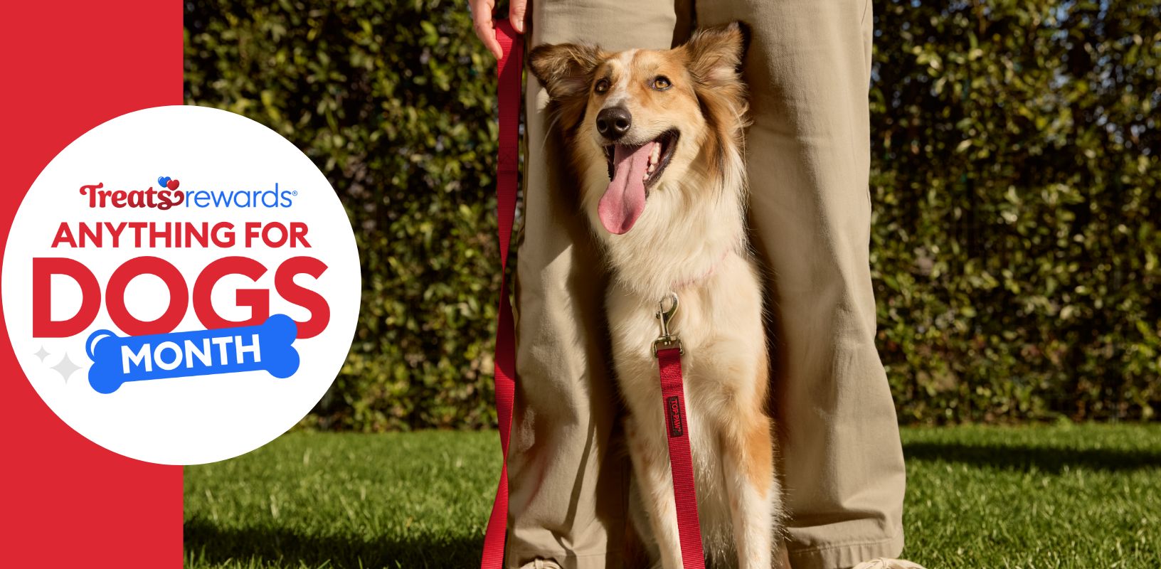 Treats Rewards Anything for Dogs Month logo and a pet parent standing outside with their dog