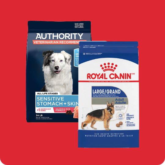 dry dog food