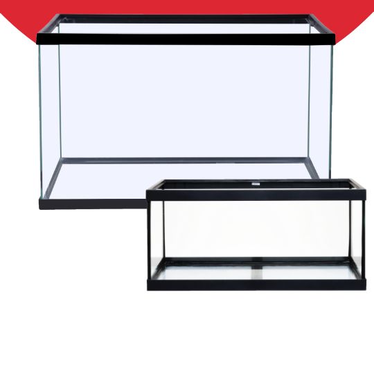 Two open-glass aquariums