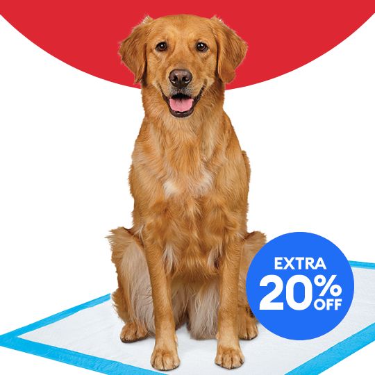 Extra 20% off callout and a dog sitting on a potty pad