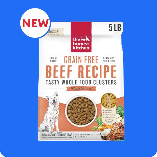 the honest kitchen dog food