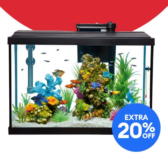 Extra 20% off callout and a fish tank