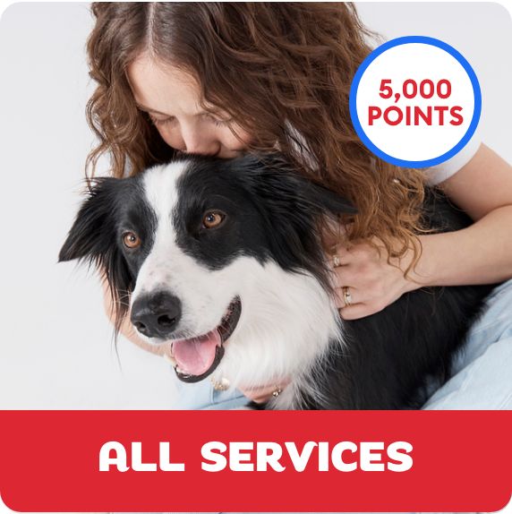 Pet parent kissing her dog, 5,000 points callout and a Grooming Salon logo